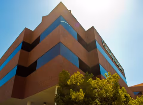 Modern brick building with blue-tinted windows and trees in front, sunlit sky.