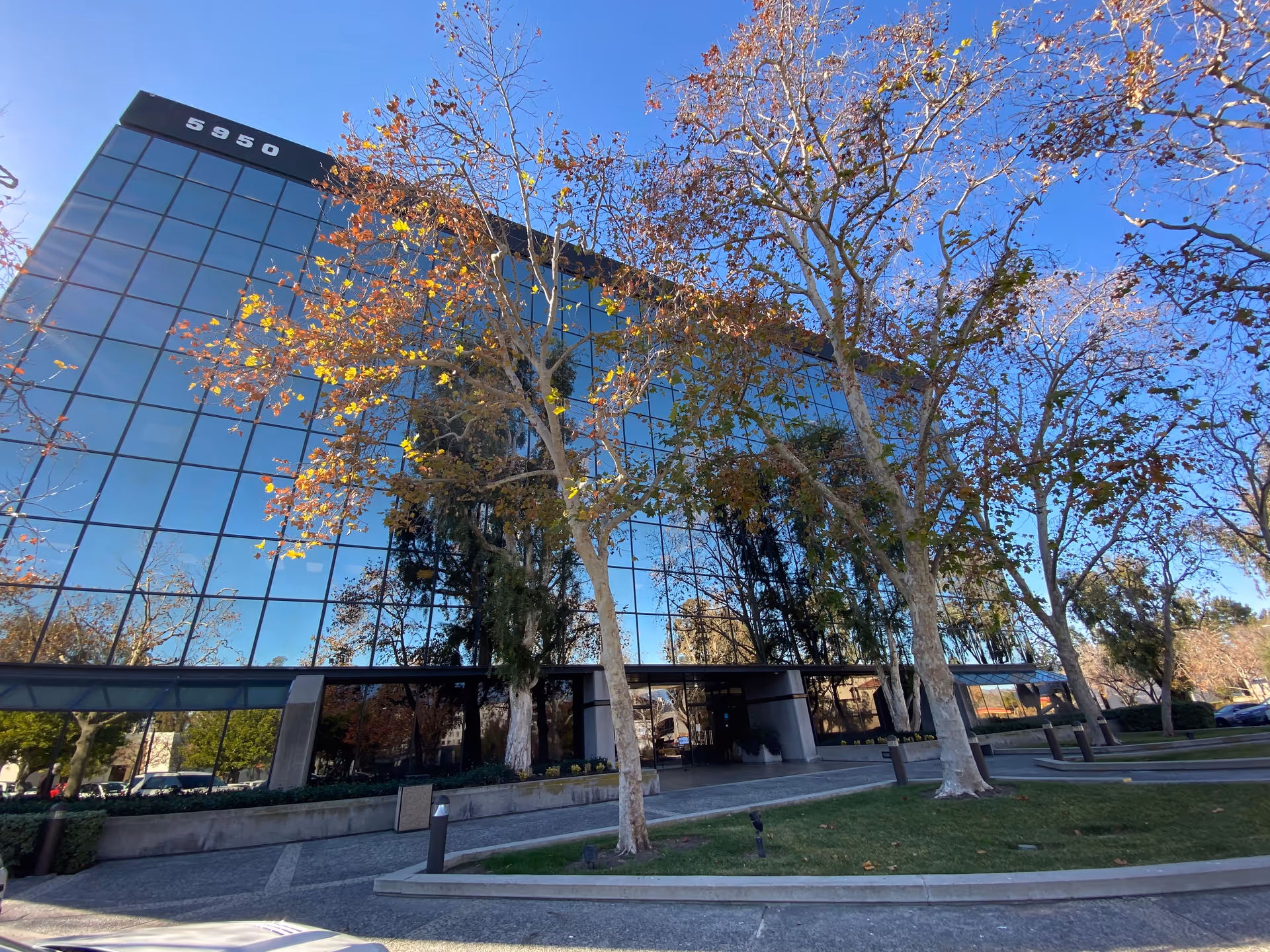 Modern glass-front building exterior with trees along a curved driveway and blue sky.