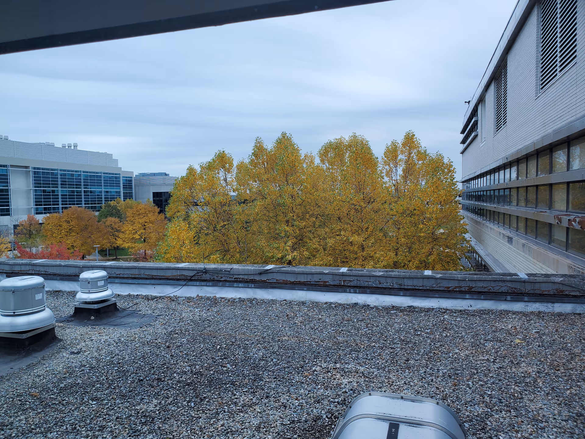 Rooftop gravel surface with vents and autumn trees beside a modern building.