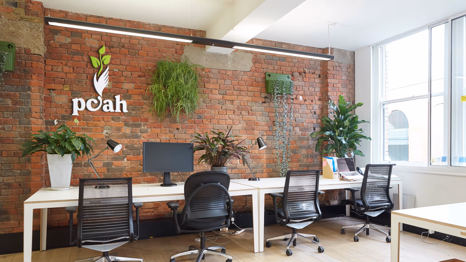 Office workspace with brick wall, potted plants, and a 'poah' logo in a senior care facility.